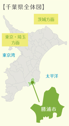千葉県全体図
